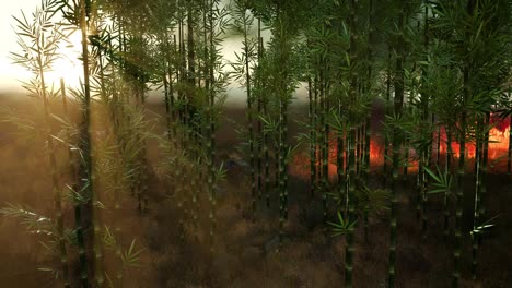 Viento-Que-Sopla-Sobre-árboles-De-Bambú-En-Llamas-Durante-Un-Incendio-Forestal